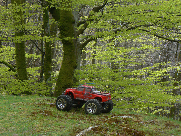 Emaxx 3906 Spring 2014