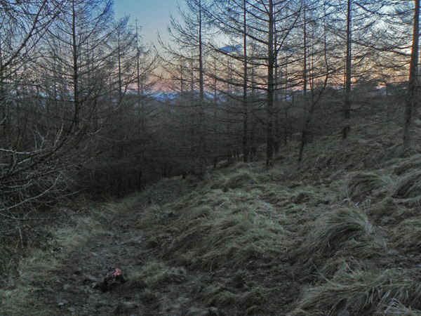 Camino Iturrioz Ernio