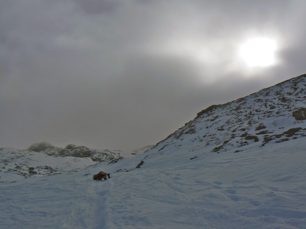 Y esto, de donde sale ?