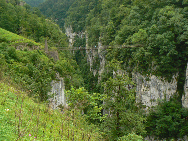 emaxx Hol&ccedil;arte