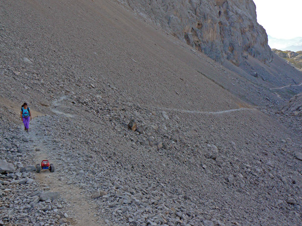 Primer carizal tras la Vueltona