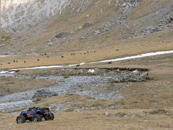 Sarrios en Soaso, enero