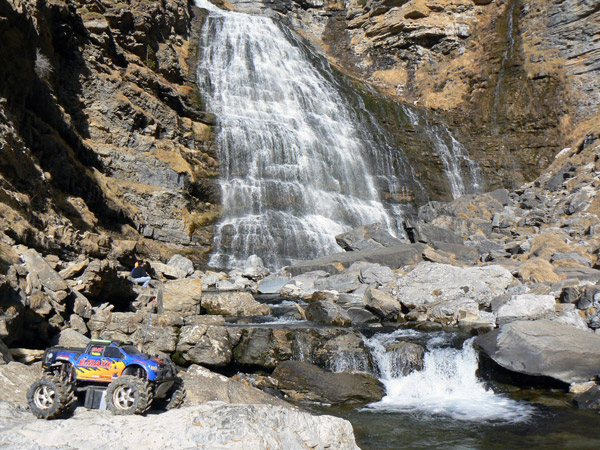 Emax Cola de Caballo